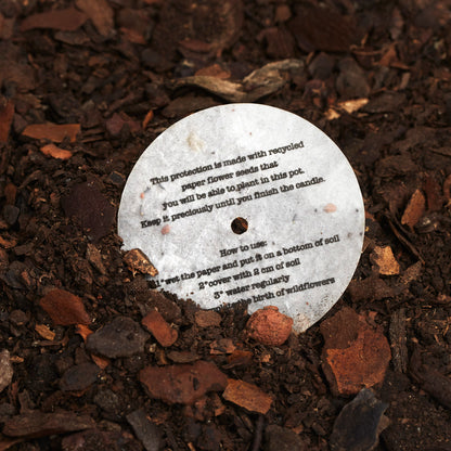 Pillowcase Pair + Somnia 1.0