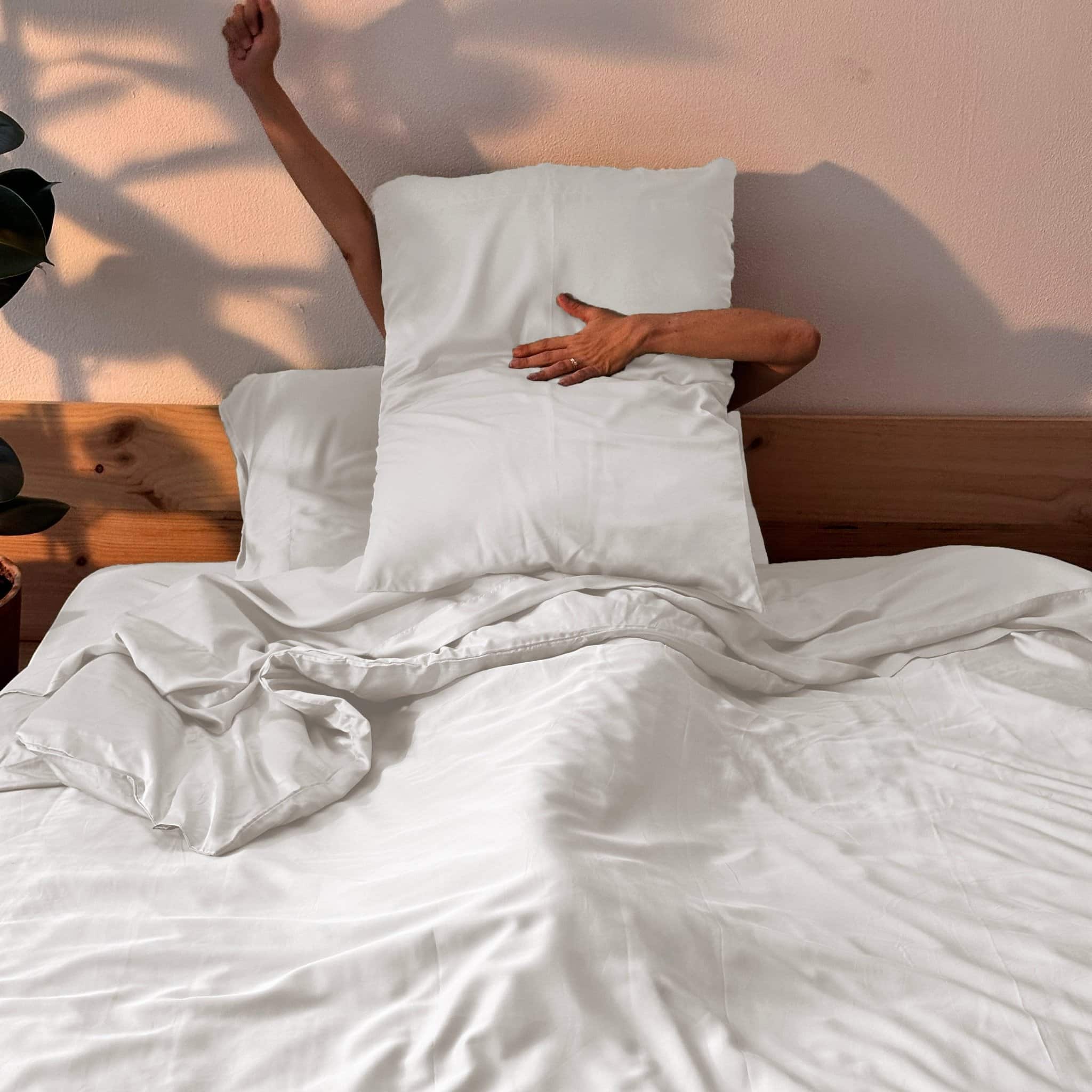 布団・毛布  ECONOMICS EXPERIMENT Duvet cover Bamboo Duvet Cover Set | Soft & Thermoregulating | Momo Cotton